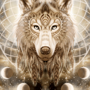 Borduurpakket Bewaker van Dromen